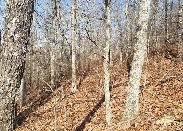 Property at Lot 105 Dogwood Dr, Holladay, TN 38341