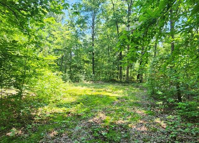 Property at 000 Redbud Rd, Sugar Tree, TN 38380