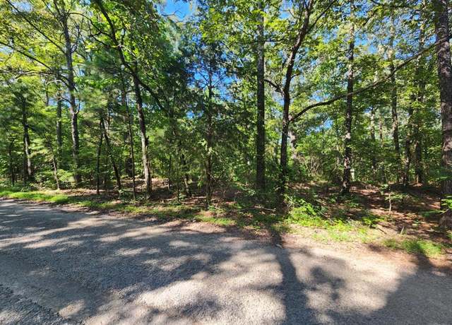 Property at 0 Conbanna S/d, Buchanan, TN 38221
