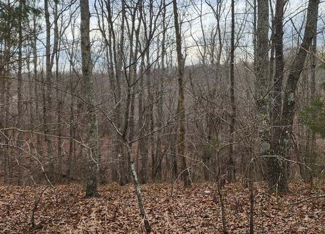 Property at 00000 Birdsong Rd, Holladay, TN 38341
