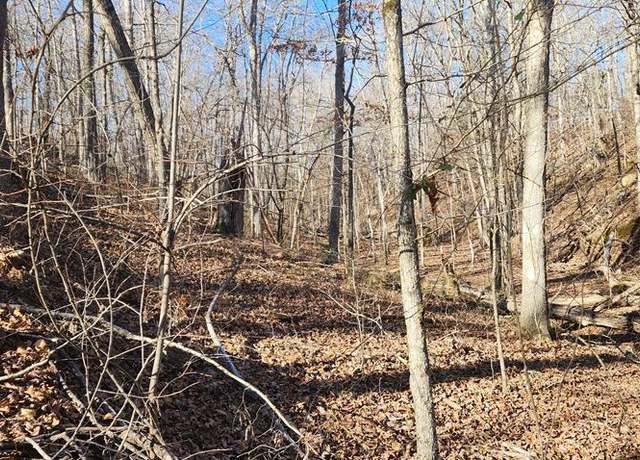 Property at id1 Shady Grv, Holladay, TN 38341