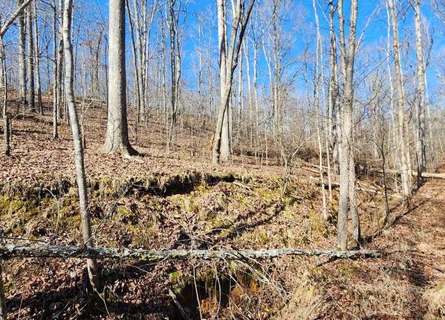 Property at id15 Shady Grove Rd, Holladay, TN 38341