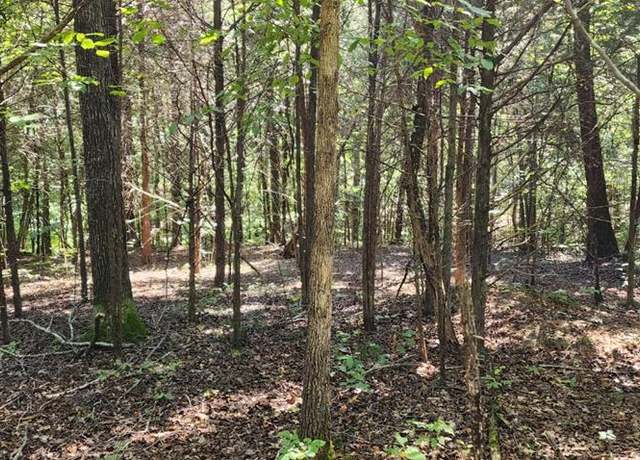 Property at 000 Circle Dr, Big Sandy, TN 38221