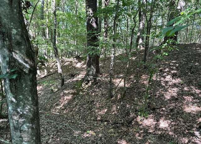 Property at 00 Cummins Rd/eva Harbor Rd, Eva, TN 38333