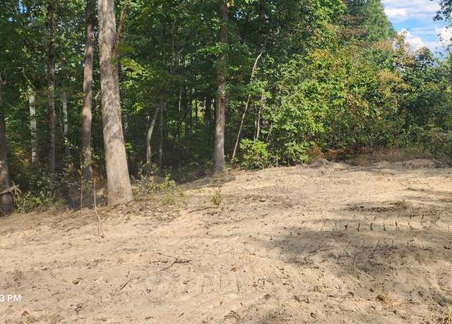 Property at 000 Pheasant Ridge Rd, Sugar Tree, TN 38380