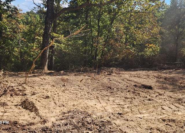 Property at 000 Pheasant Ridge Rd, Sugar Tree, TN 38380