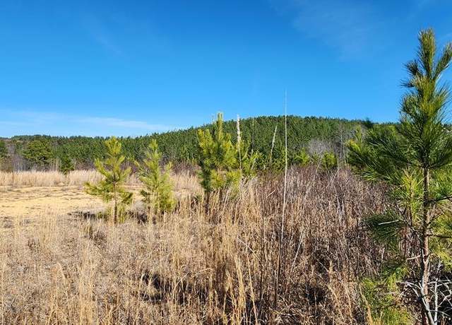 Property at 000 Old Sh 69, Sugar Tree, TN 38380