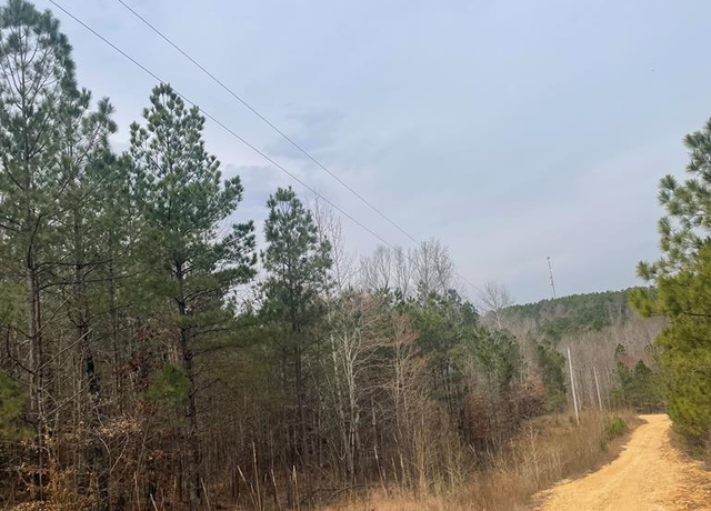 Property at 0 Falcon View Rd, Cedar Grove, TN 38321