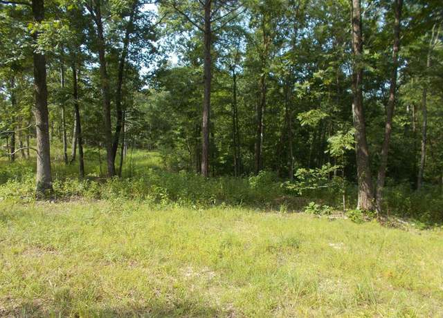 Property at 0 Cypress Ck. Dr. Off Sales Landing Rd, Camden, TN 38320