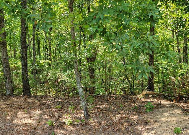 Property at lot 6 Chinkapin Rd, Holladay, TN 38341