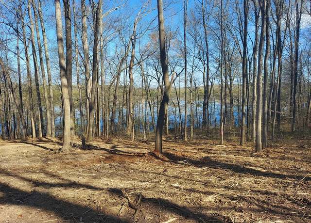 Property at 0 Elkhorn, Springville, TN 38256