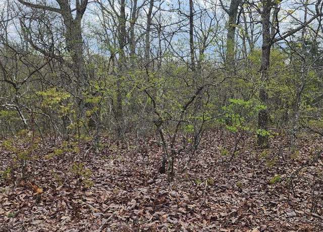 Property at id71 Riverview Rd, Holladay, TN 38341