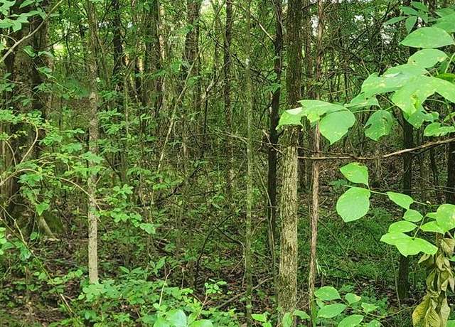 Property at 000 Shady Ln, Big Sandy, TN 38221