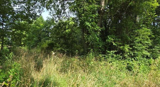 Photo of 0 Clayton Town Rd, Buchanan, TN 38222
