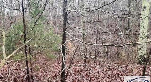 Photo of 000 Sycamore Dr, Holladay, TN 38341
