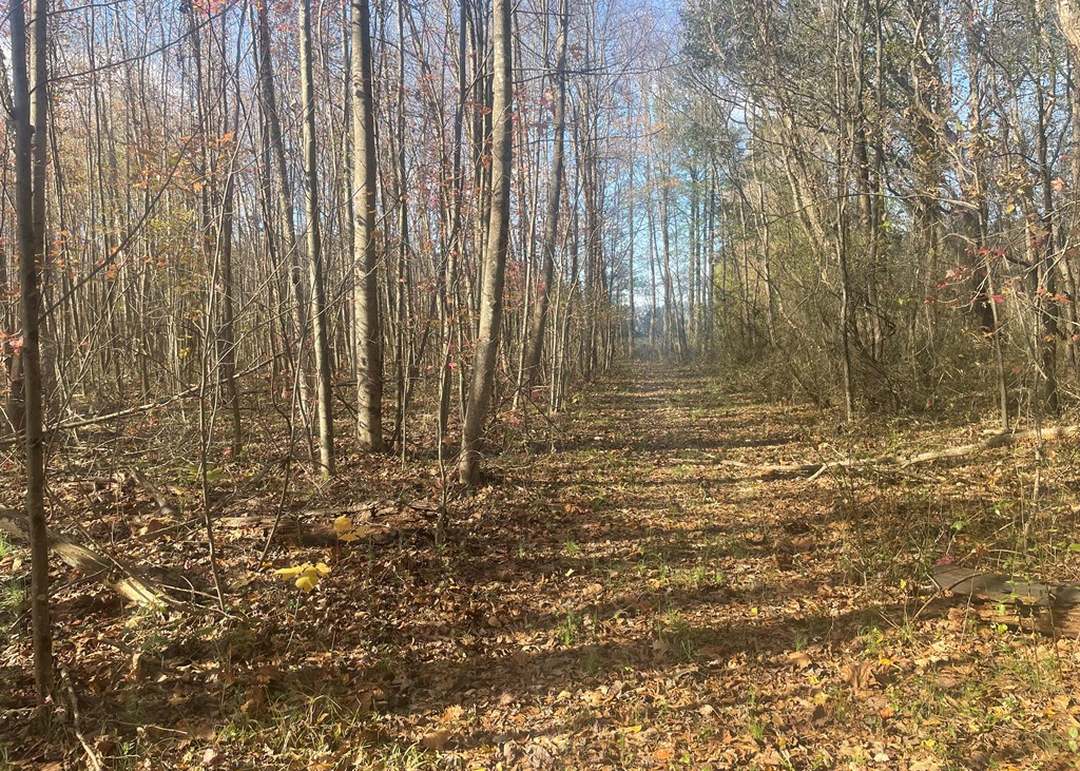 0 Old Sr 22, Mckenzie, TN 38201