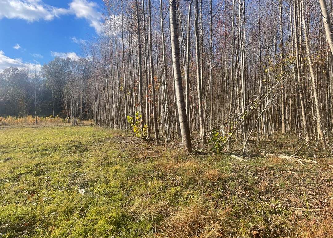 0 Old Sr 22, Mckenzie, TN 38201