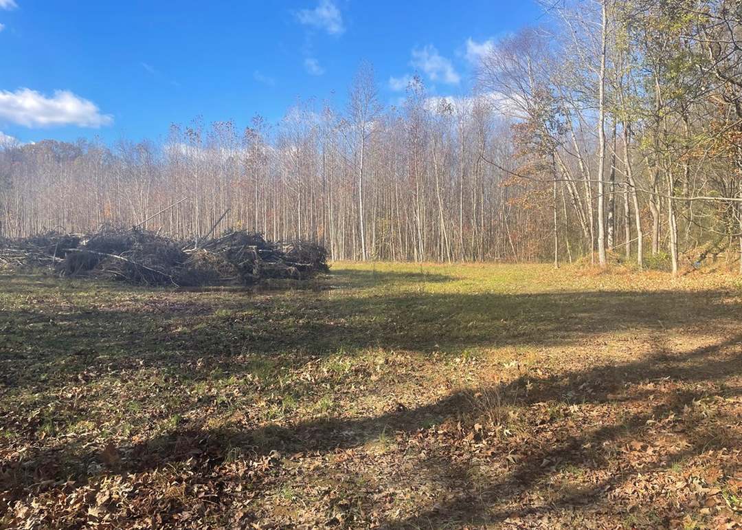 0 Old Sr 22, Mckenzie, TN 38201