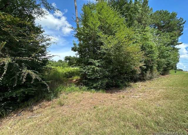 Property at 000 Highway 231 Hwy, Ozark, AL 36360