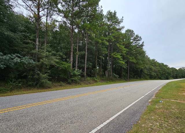 Property at 6.5 Acres Bill Deloney Rd, Ozark, AL 36360