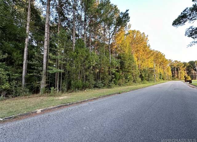 Property at LOT 7 Forest Lake Dr, Elba, AL 36323