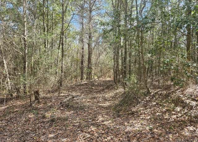 Property at 0 John C Wells Rd, Daleville, AL 36322
