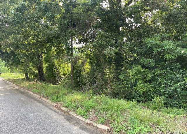 Property at 1215 Highway 123, Hartford, AL 36344
