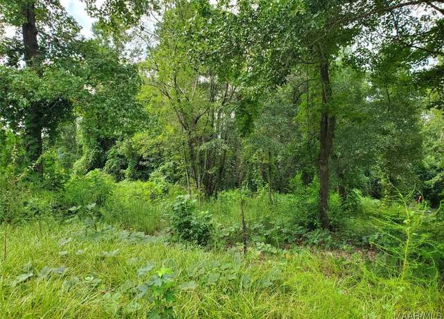 Property at 0 Hollis Ave, Newton, AL 36352