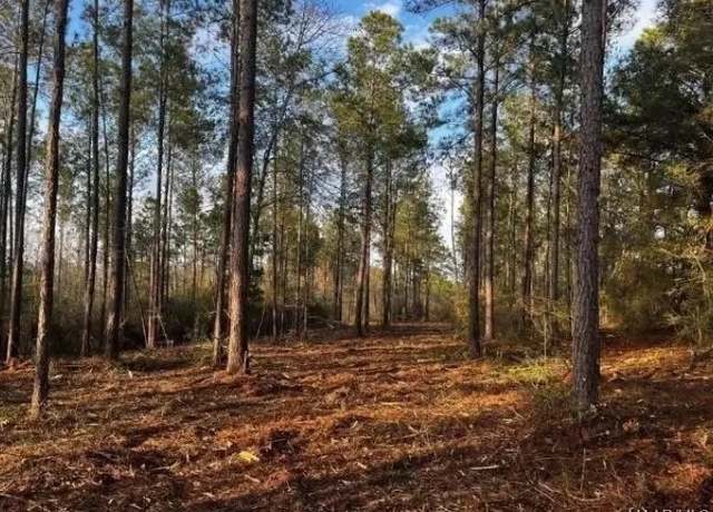 Property at Lot 4 A County Road 651, Coffee Springs, AL 36318