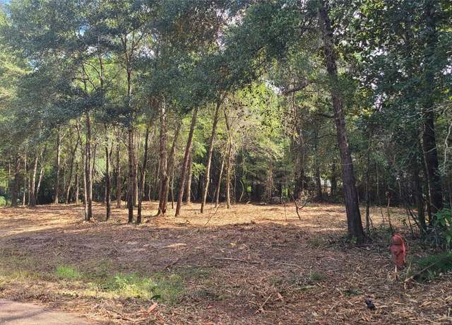 Property at 00 River Rd, Newton, AL 36352