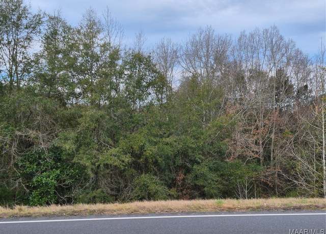 Property at 35128 AL Highway 55, Red Level, AL 36474