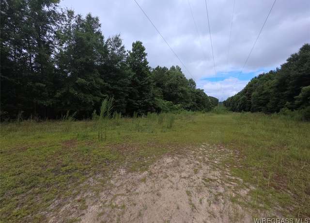 Property at 000 Highway 134 Hwy, Daleville, AL 36322