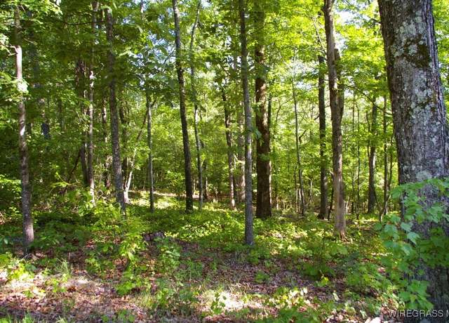Property at TBD Whittle Hudson Rd, Ozark, AL 36360