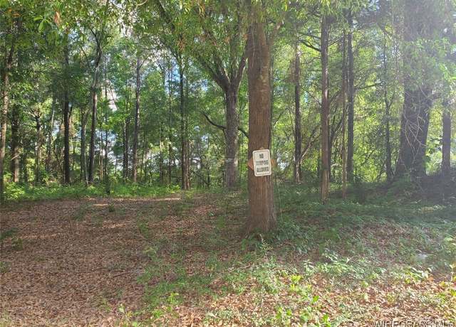 Property at 2.33 acres Parker Rd, Ozark, AL 36360