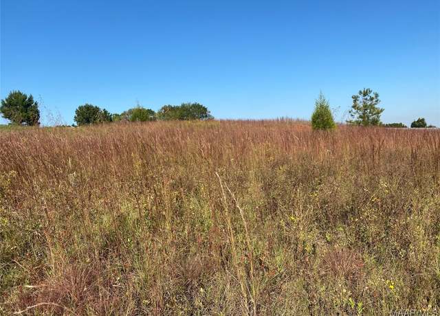 Property at TBD County Road 537 Rd, New Brockton, AL 36330