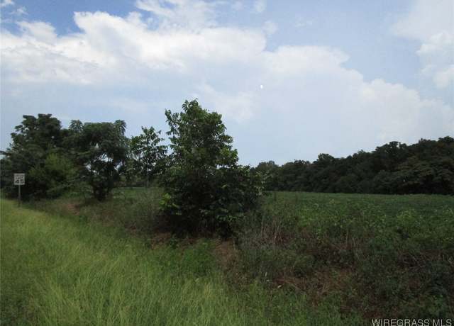 Property at 0 Dale County 1, Daleville, AL 36322