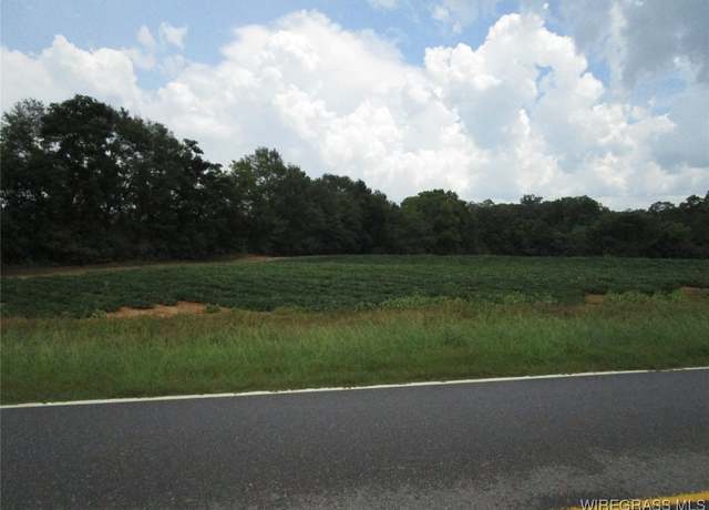 Property at 0 W Highway 92, Daleville, AL 36322