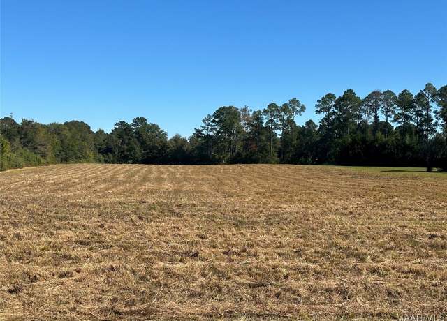 Property at TBD Dawsey Rd, Dothan, AL 36305