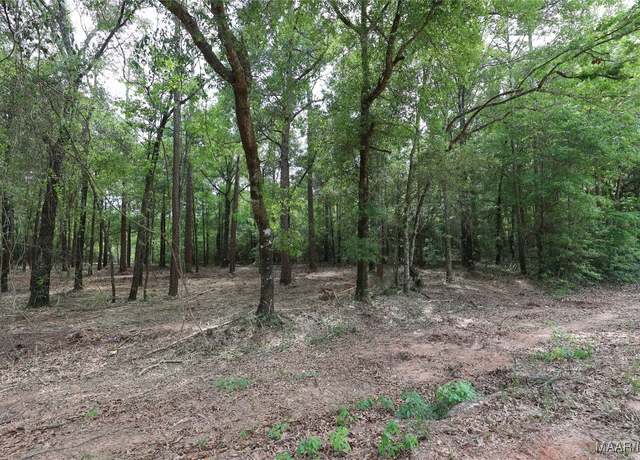 Property at 1986 County Road 156, Enterprise, AL 36330