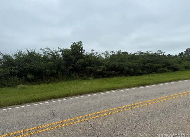 Property at 0 Highway 87 Hwy, Samson, AL 36447