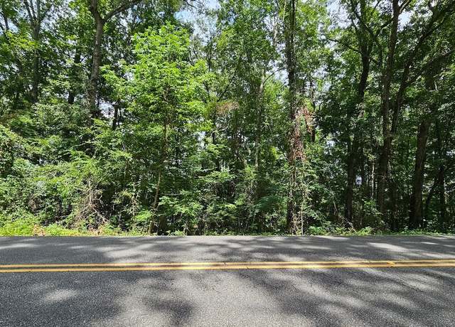 Property at Lots 2,3 & 4 Mixon School Rd, Ozark, AL 36360