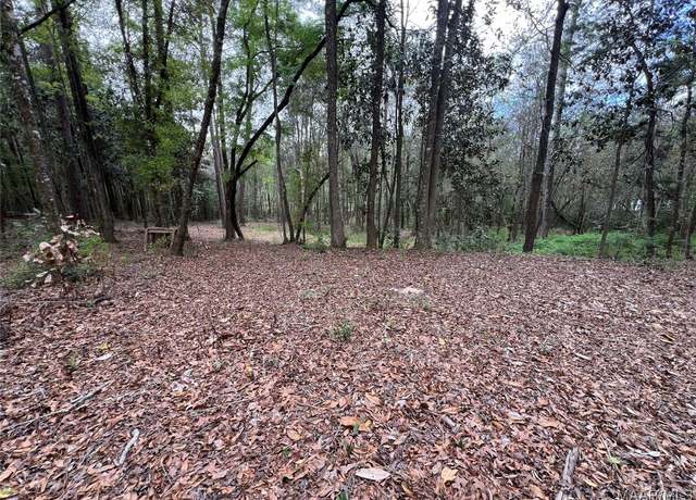 Property at TBD Driftwood Ln, Andalusia, AL 36421