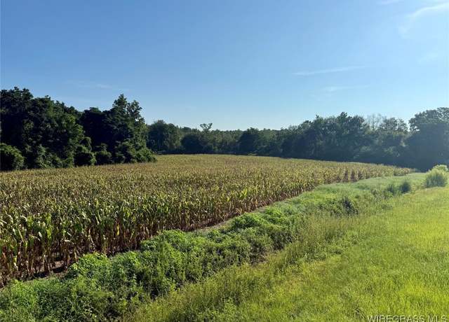Property at 14.57 Acres Red Oak Rd, Florala, AL 36442