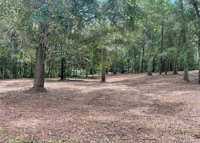 Property at TBD County Road 681, Coffee Springs, AL 36318