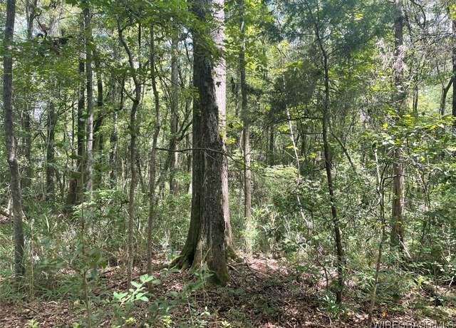 Property at TBD County Road 680, Coffee Springs, AL 36318