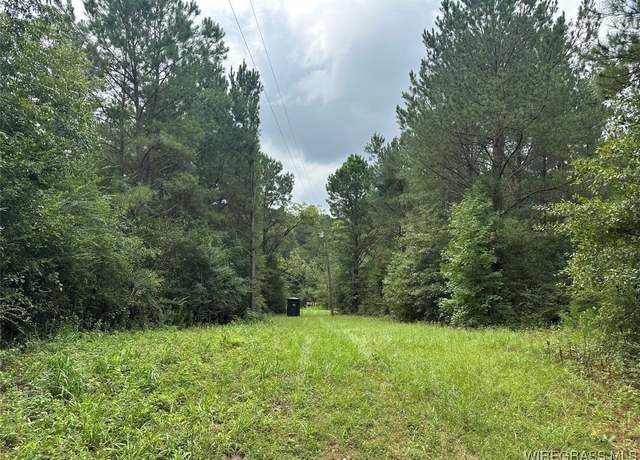 Property at 000 Highway 105 Hwy, Skipperville, AL 36374
