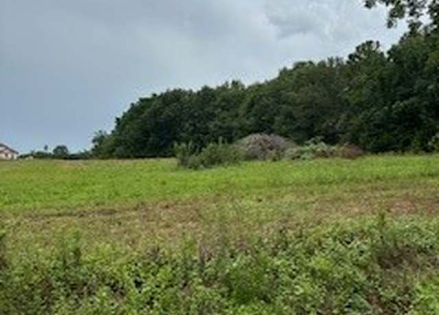 Property at Lot 19 County Road 613, New Brockton, AL 36351