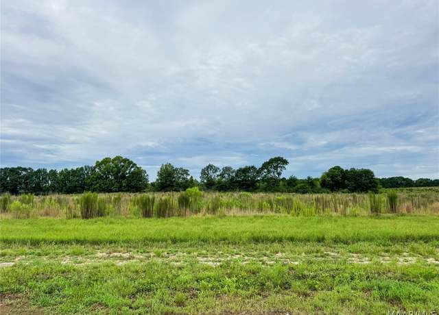 Property at Lot 5 Blk A County Road 625, New Brockton, AL 36351