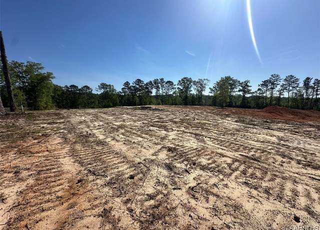 Property at 000 Highway 125, Jack, AL 36346