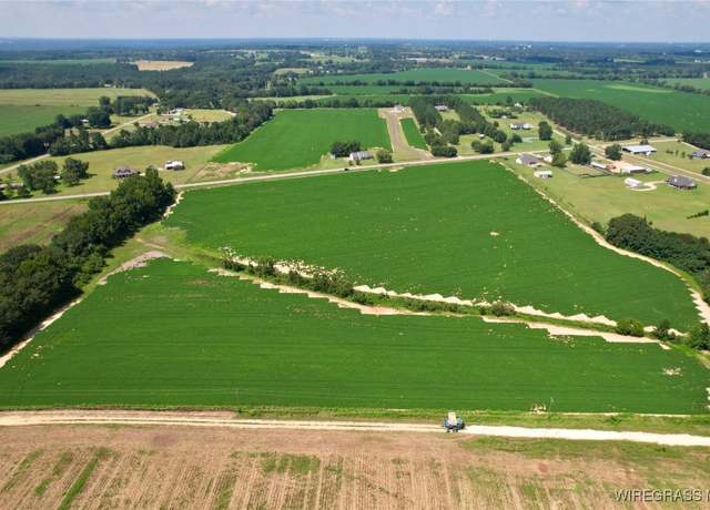 Property at TBD Judge Logue Rd, Newton, AL 36352